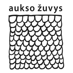 aukso zuvys large